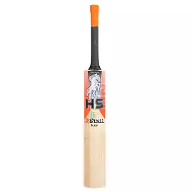 HS 2 Star English Willow Cricket Bat