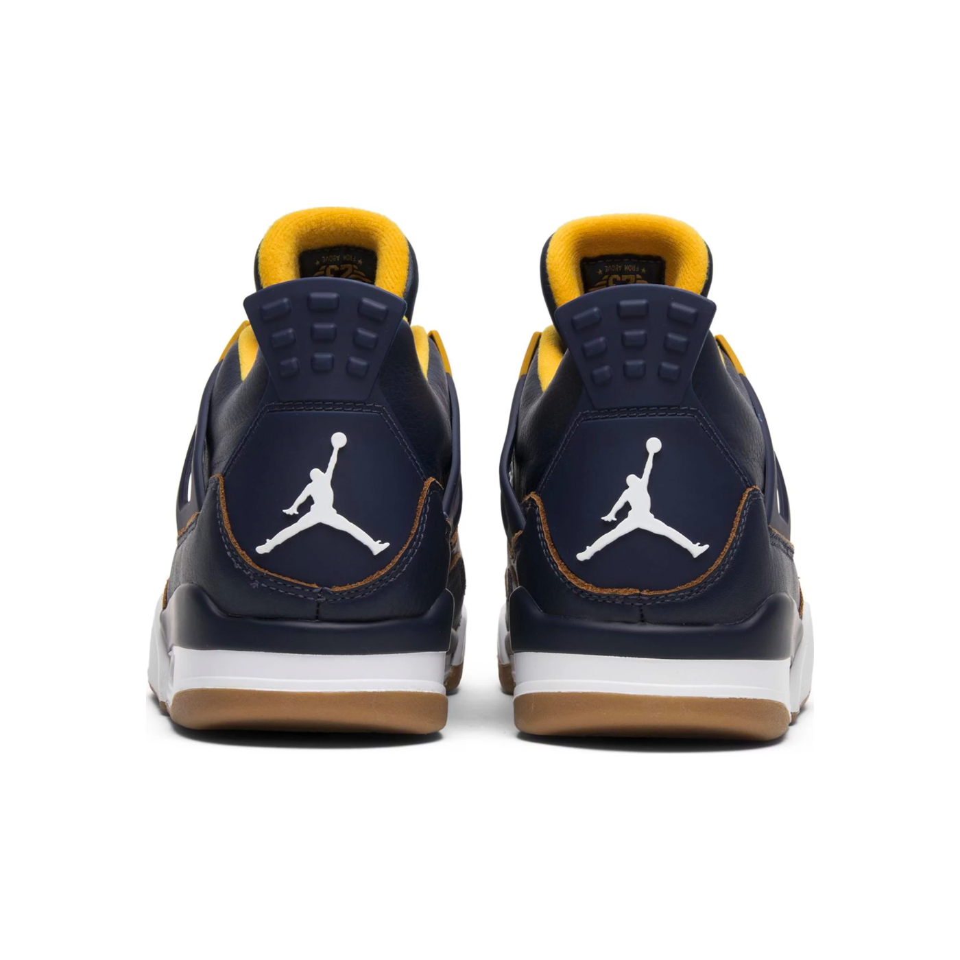 Jordan 4 Retro Dunk From Above